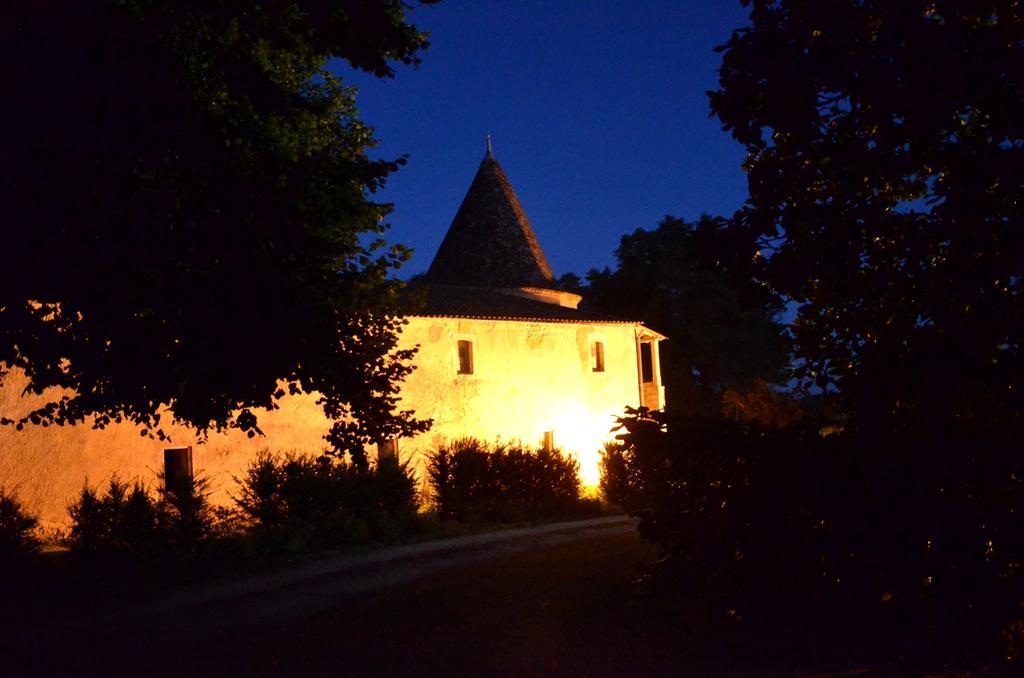 Chateau de Puyrigaud Bed and Breakfast Léoville Exterior foto